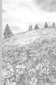 New Meadow ~ Journal