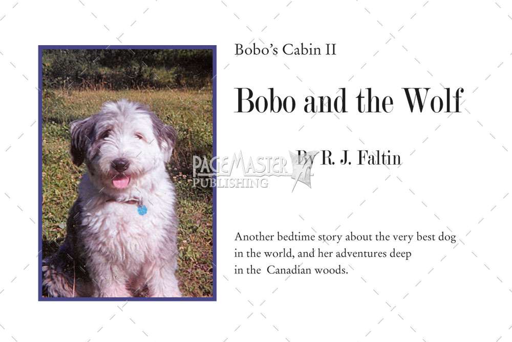 Bobo and the Wolf by R.J. Faltin